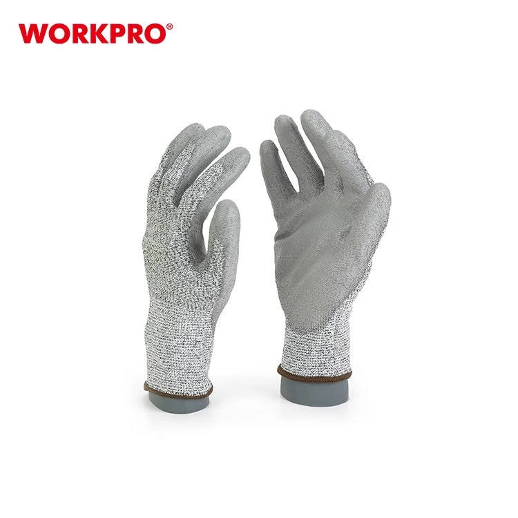 product-750-750 WP371013