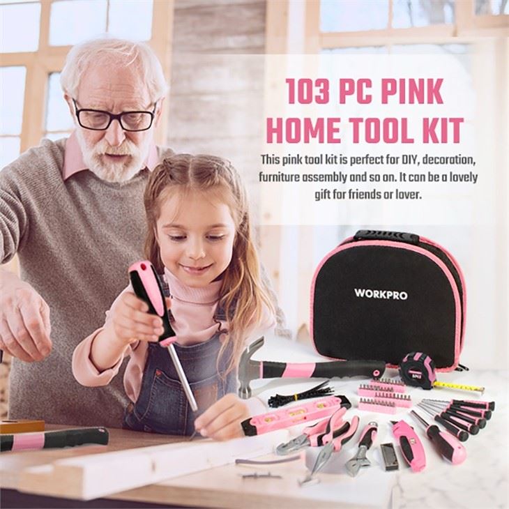 Pink Lady Tool Set